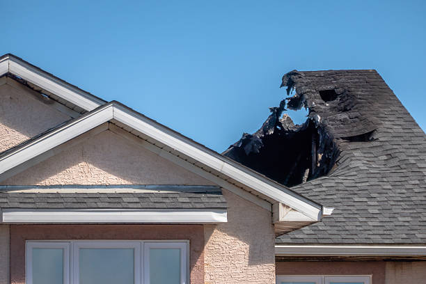 Top rated local Board Up Services specialists in Argyle, TX